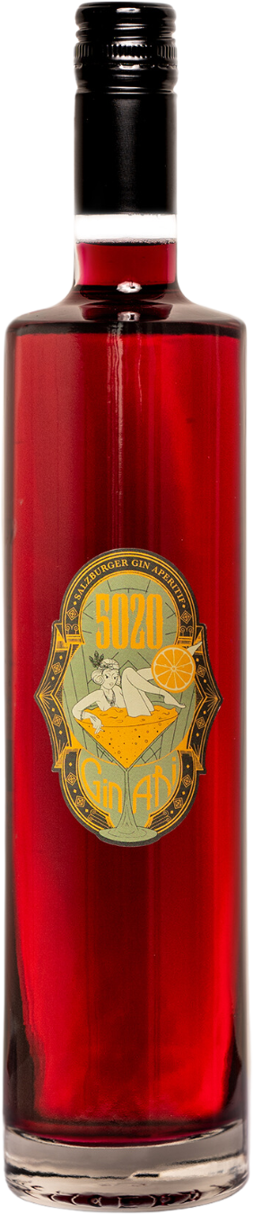 Ginari Gin Likör 16% (700ml)