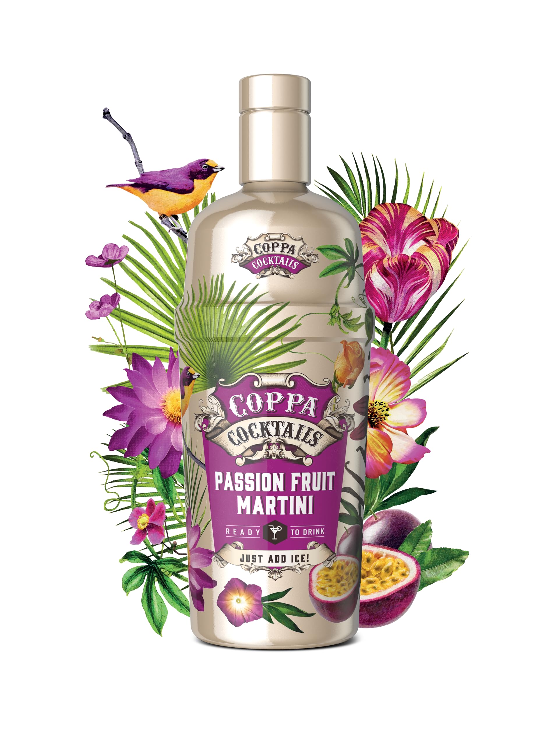Coppa Cocktails Passion Fruit Martini 10% (700ml)